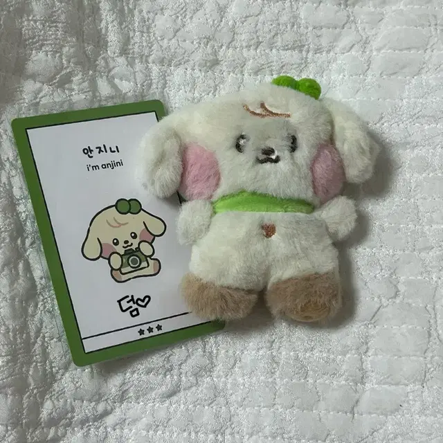 아이브 안유진 미니니 안지니 MM plush