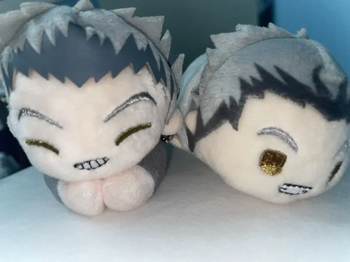 Bokuto Tsumu Hugkyarra bulk takpo