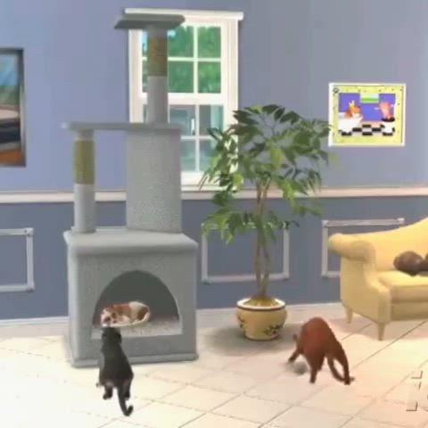 닌텐도 ds 심즈2 펫츠 게임칩 Sims2 pets