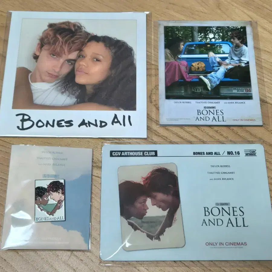 영화 본즈앤올 BONES AND ALL 폴라로이드엽서 뱃지 마그넷