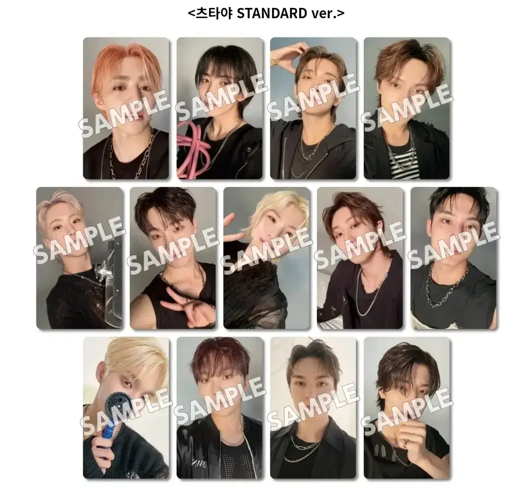 Seventeen Mini 12th Tsutaya Carat Version bulk and individual buncheol