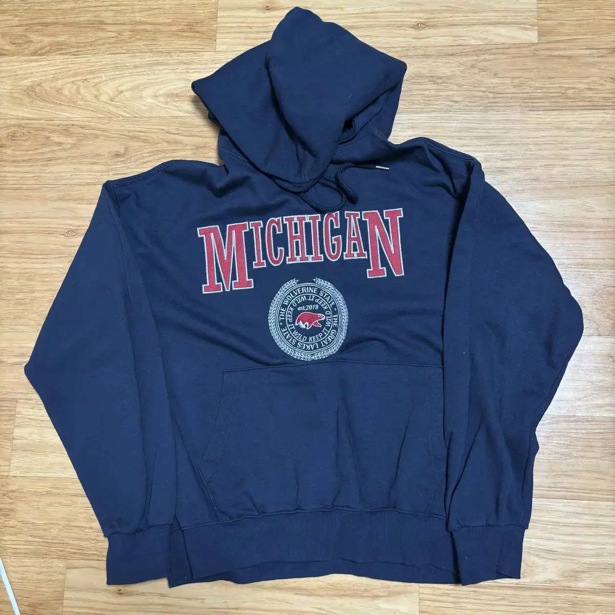 Michigan Wolverines Applique Hoodie Navy