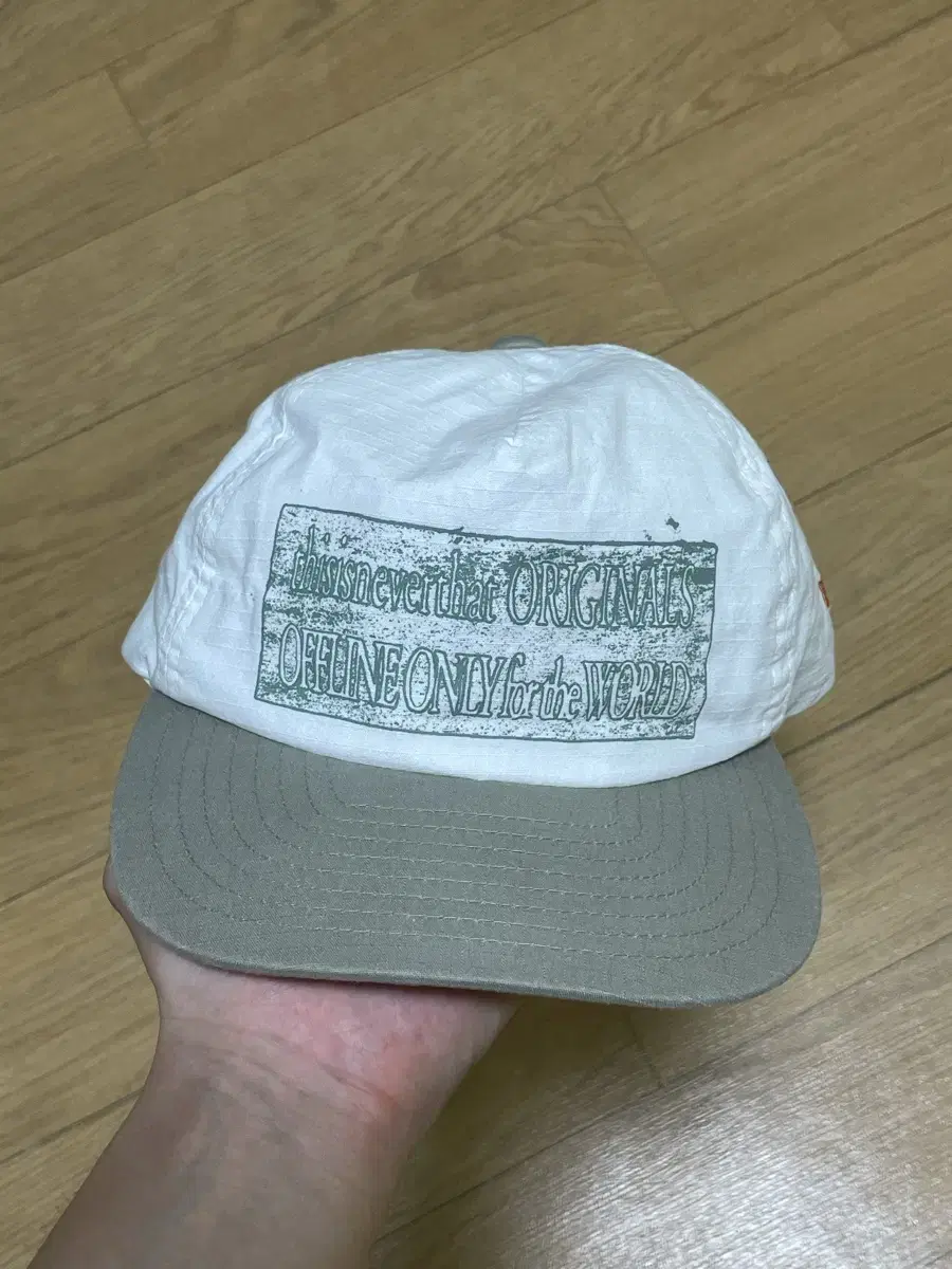 디스이즈네버댓 Mural Trucker Cap White