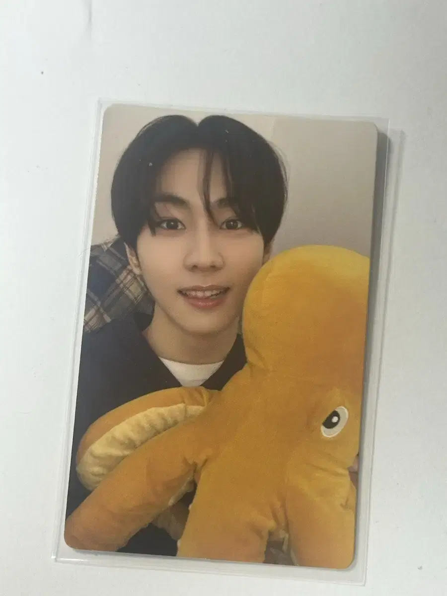 Enhypen jungwon romantold engine photocard