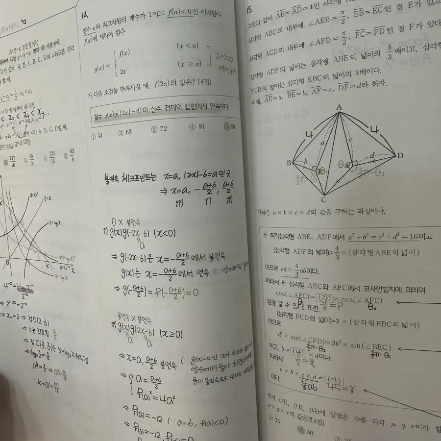 남지현 시대인재 현강전용 정규반 흰책 모의반 검은책