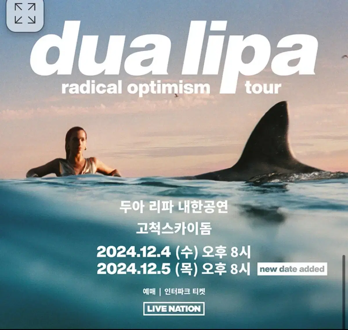 2024 두아리파 dua lipa 내한 2층 지정석 R 연석 판매