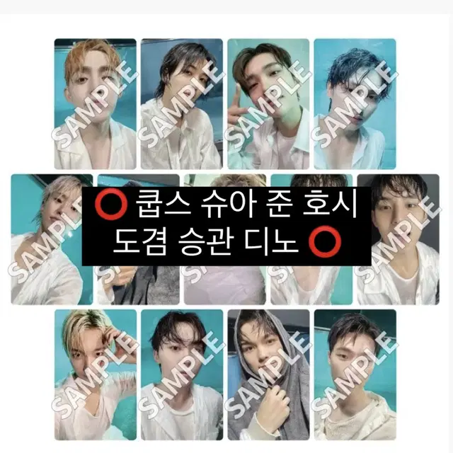 위버스 재팬 캐럿반 + 유니버셜 일반반 특전 분철