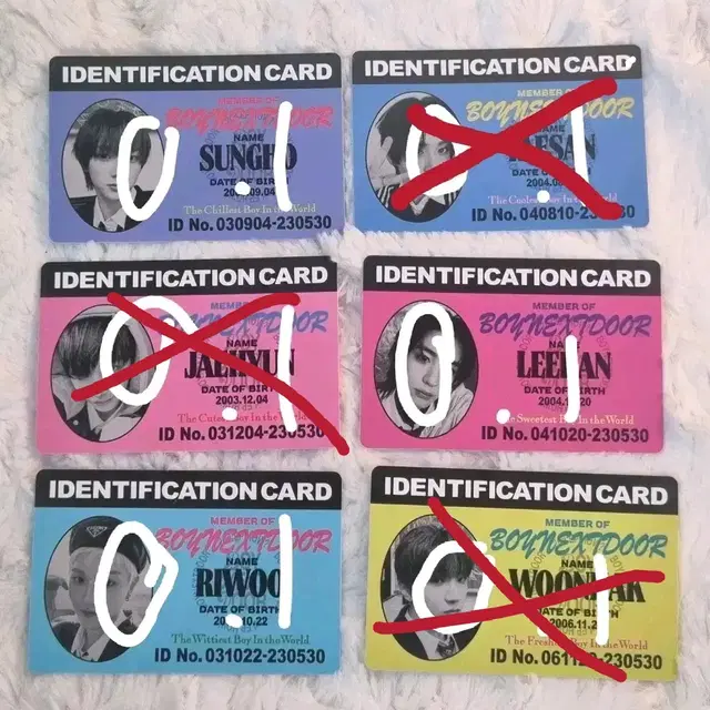 BOYNEXTDOOR IDENTIFCATION CARD