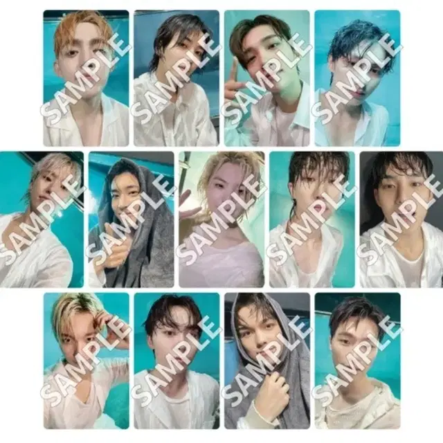 세븐틴 위버스재팬 유니버셜 일반반 캐럿반 타워레코드 HMV 일괄,개별분철