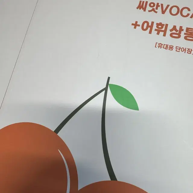 씨앗 voca 단어