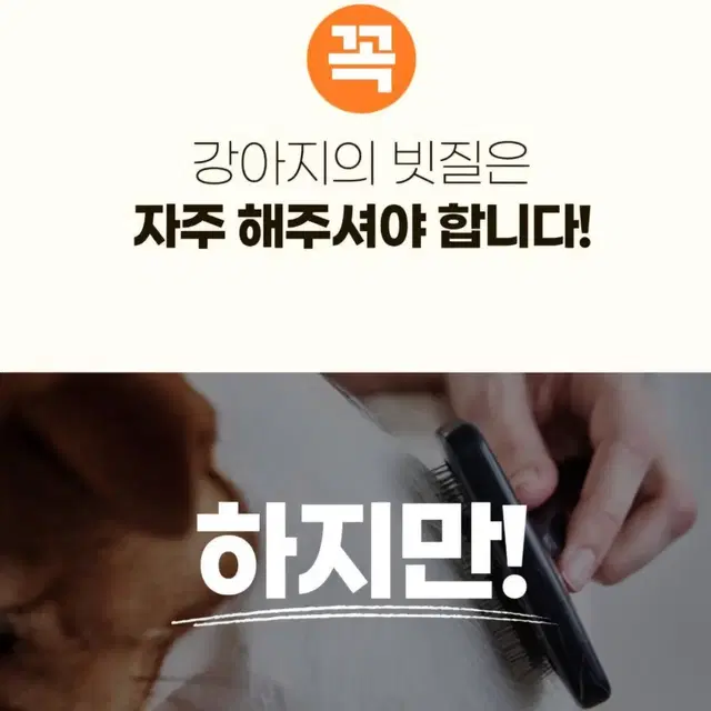 대량가능 탱글바이 강아지 미스트