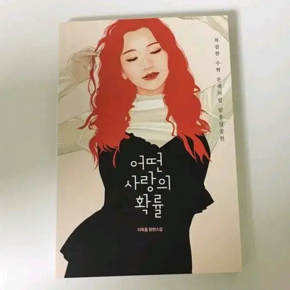 어떤 사랑의 확률 책