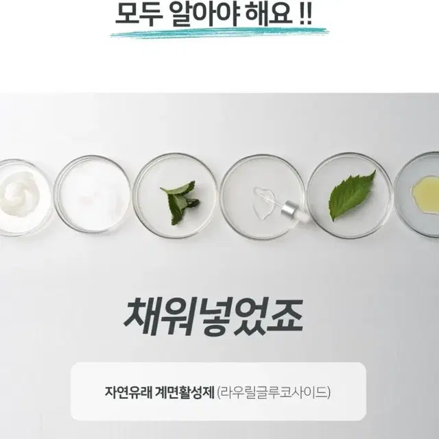 DR.HINIC 닥터하이닉 강아지 올인원 샴푸(대량가능)