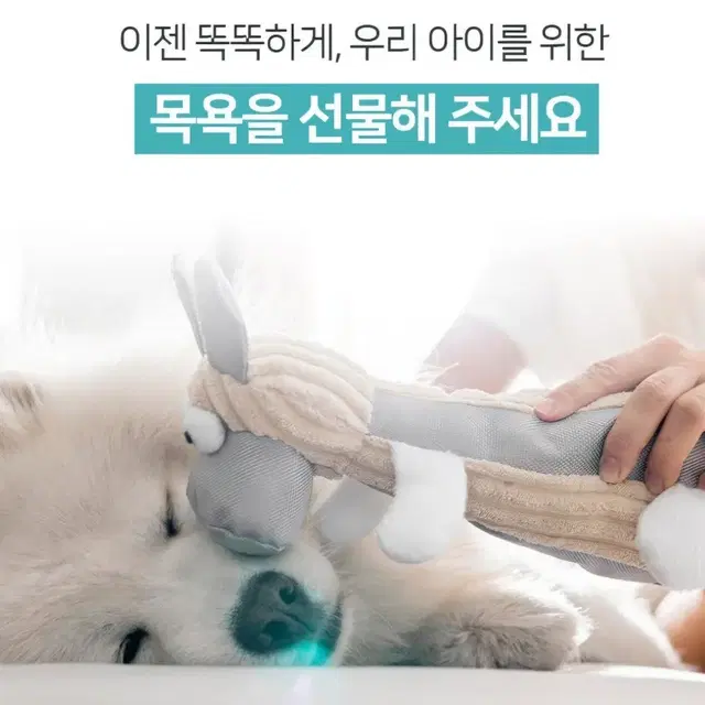 DR.HINIC 닥터하이닉 강아지 올인원 샴푸(대량가능)