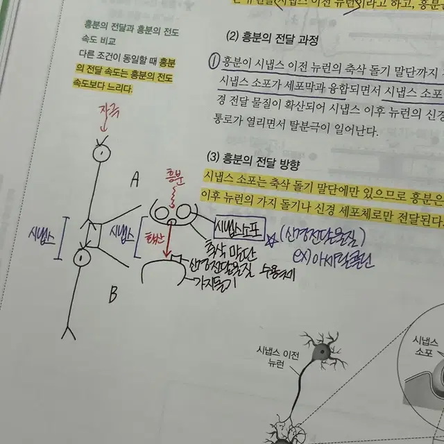 한종철 생명과학 책 판매합니다 (철두철미 개념완성, MDGC 모든기출)