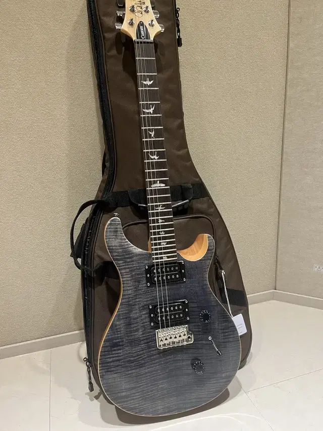 [ 급처 ] Prs se custom24 일렉기타 S급