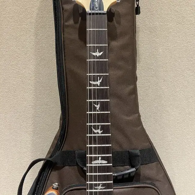 [ 급처 ] Prs se custom24 일렉기타 S급