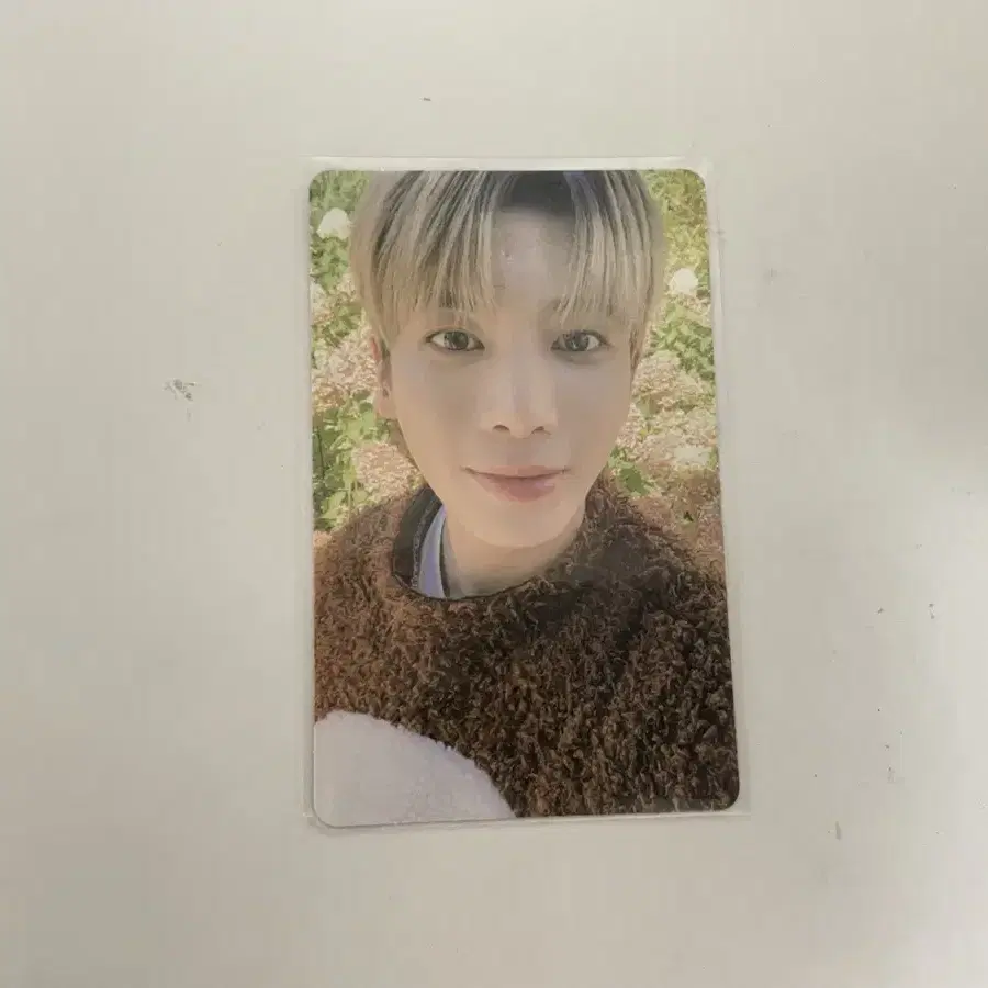 투바투 txt photocard 양도 가격 제시받아요