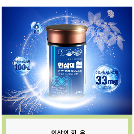 대동고려삼 인삼의힘 240g x2BOX