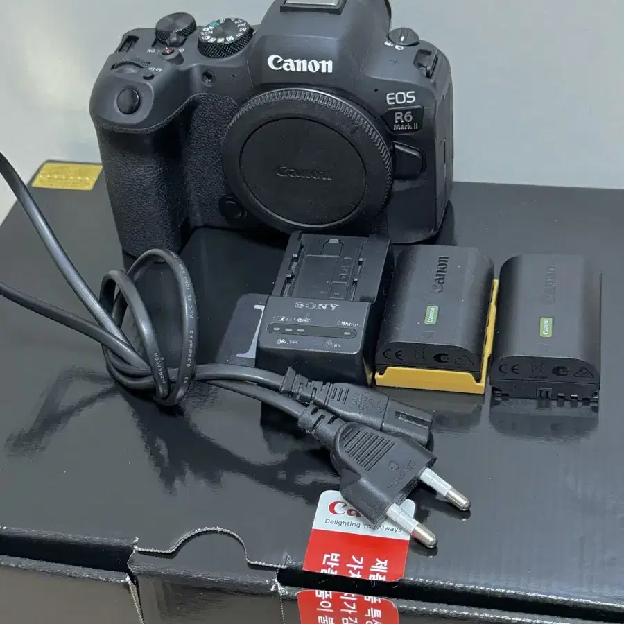 캐논 r6mark2 알육막투 canon