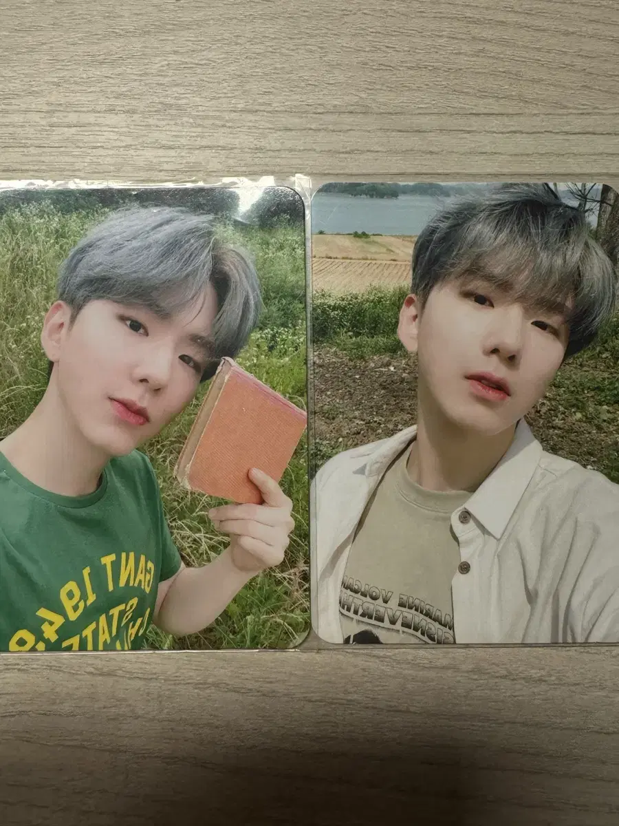 Siesta kihyun set in bulk