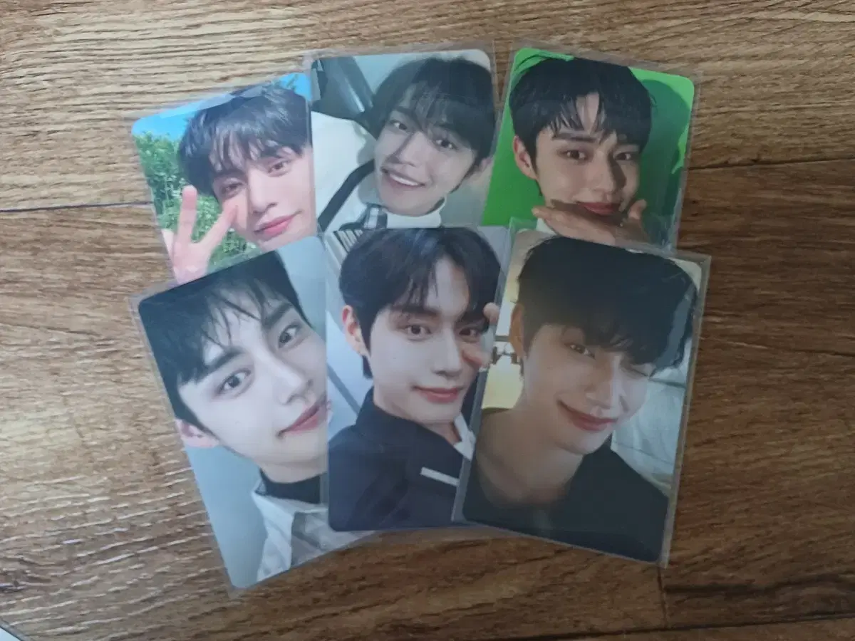 (급처,대량)zb1 kim jiwoong photocard sells