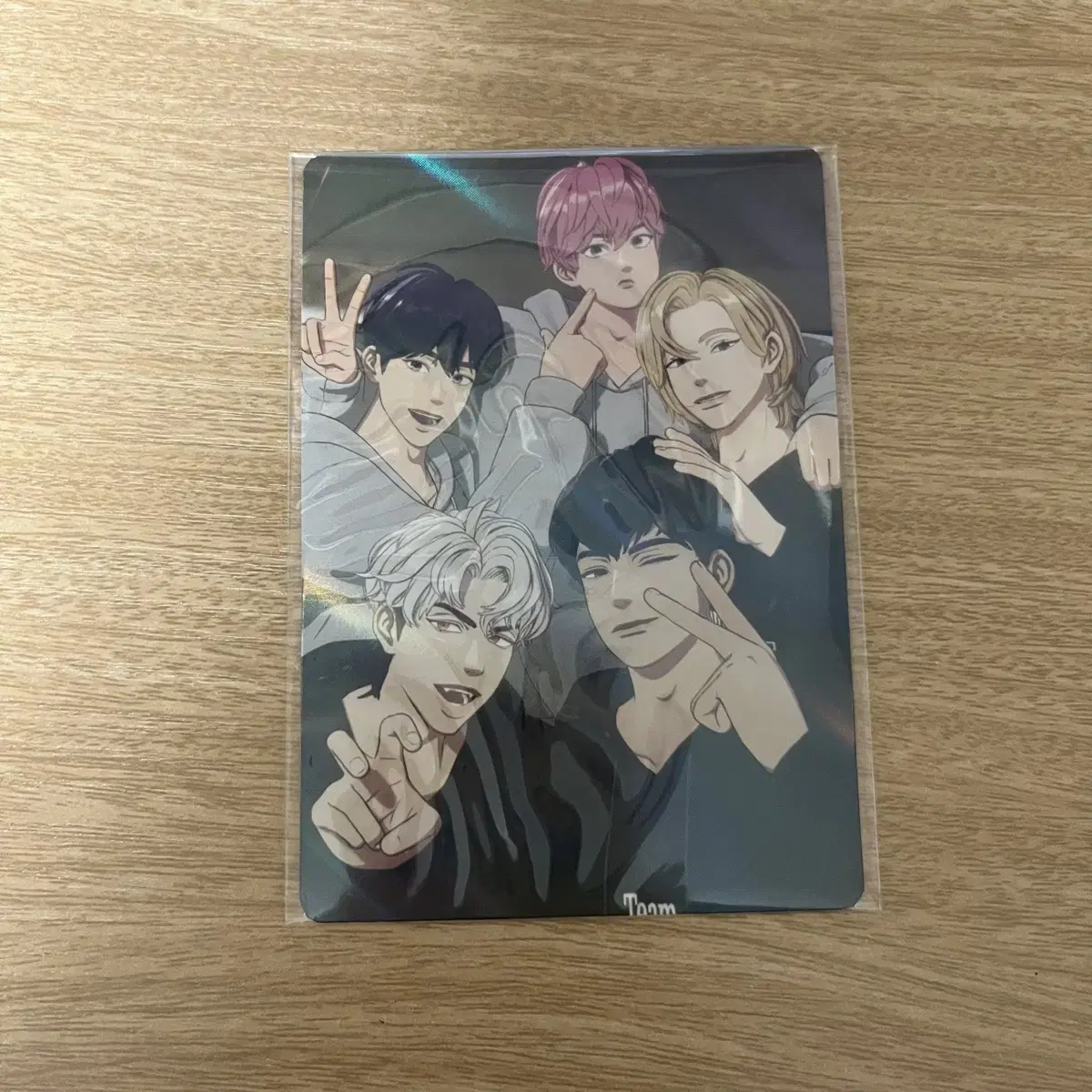 Plave Group Hooded Photocard