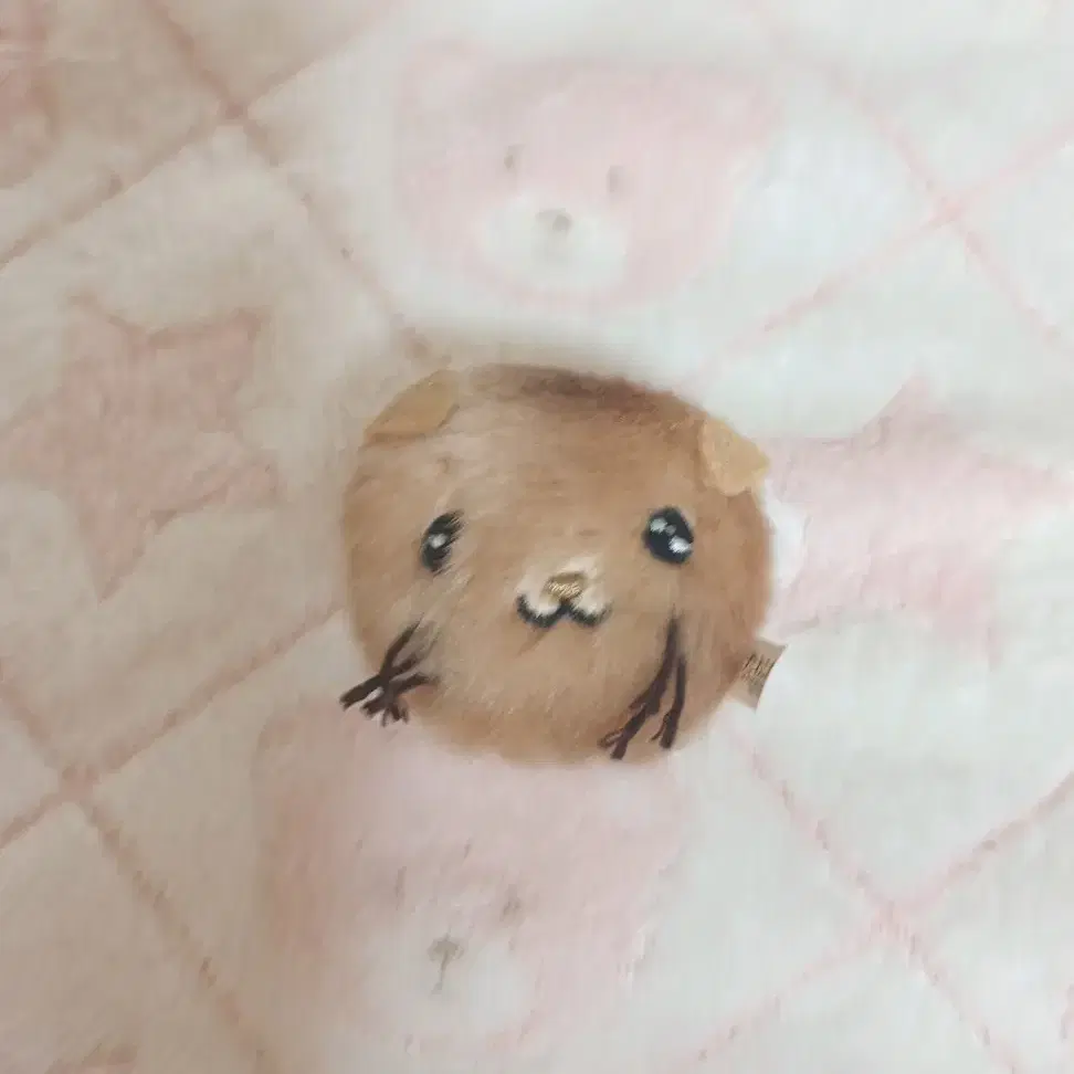 쪼꼬미 햄직이 인형