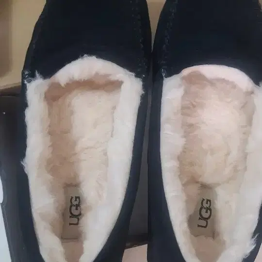 UGG 모카신