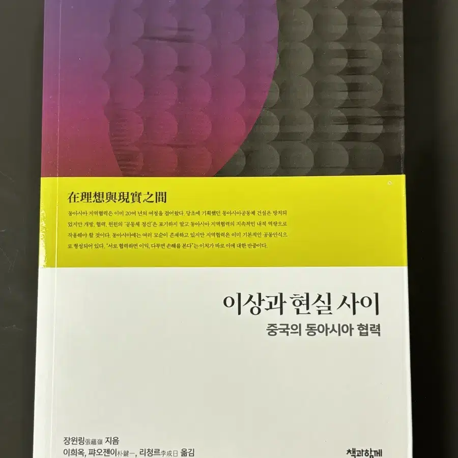 이상과 현실 사이:중국의 동아시아 협력