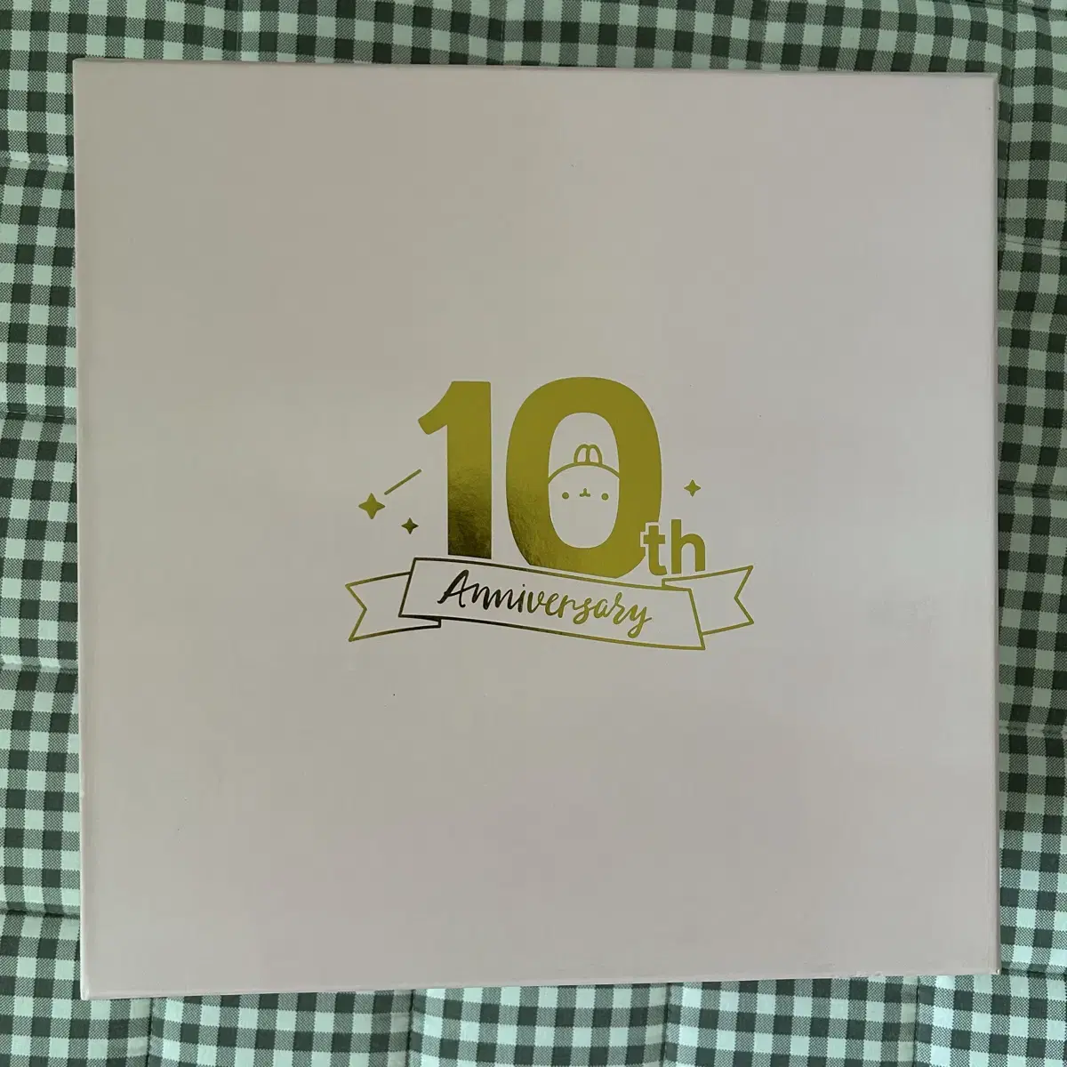 몰랑이 10주년 핑크에디션