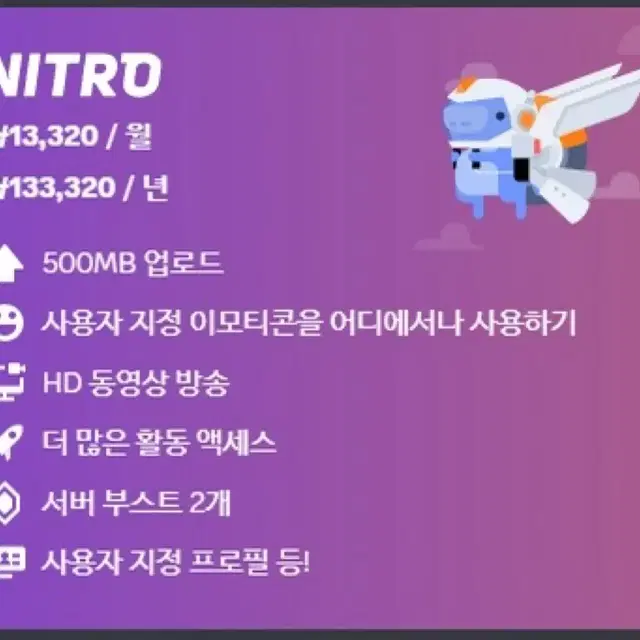 니트로 프라임 1년(12개월)