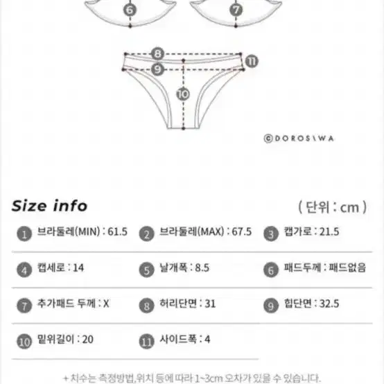 도로시와 섹시 브라 속옷 세트