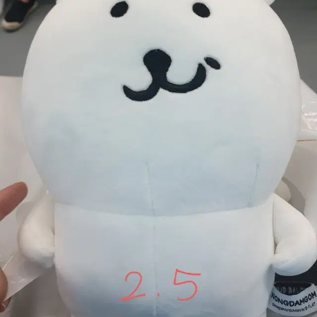 농담곰 비플랏 기본곰