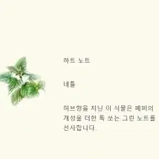 조말론 한정판 하일랜드컬렉션 와일드 아킬리아