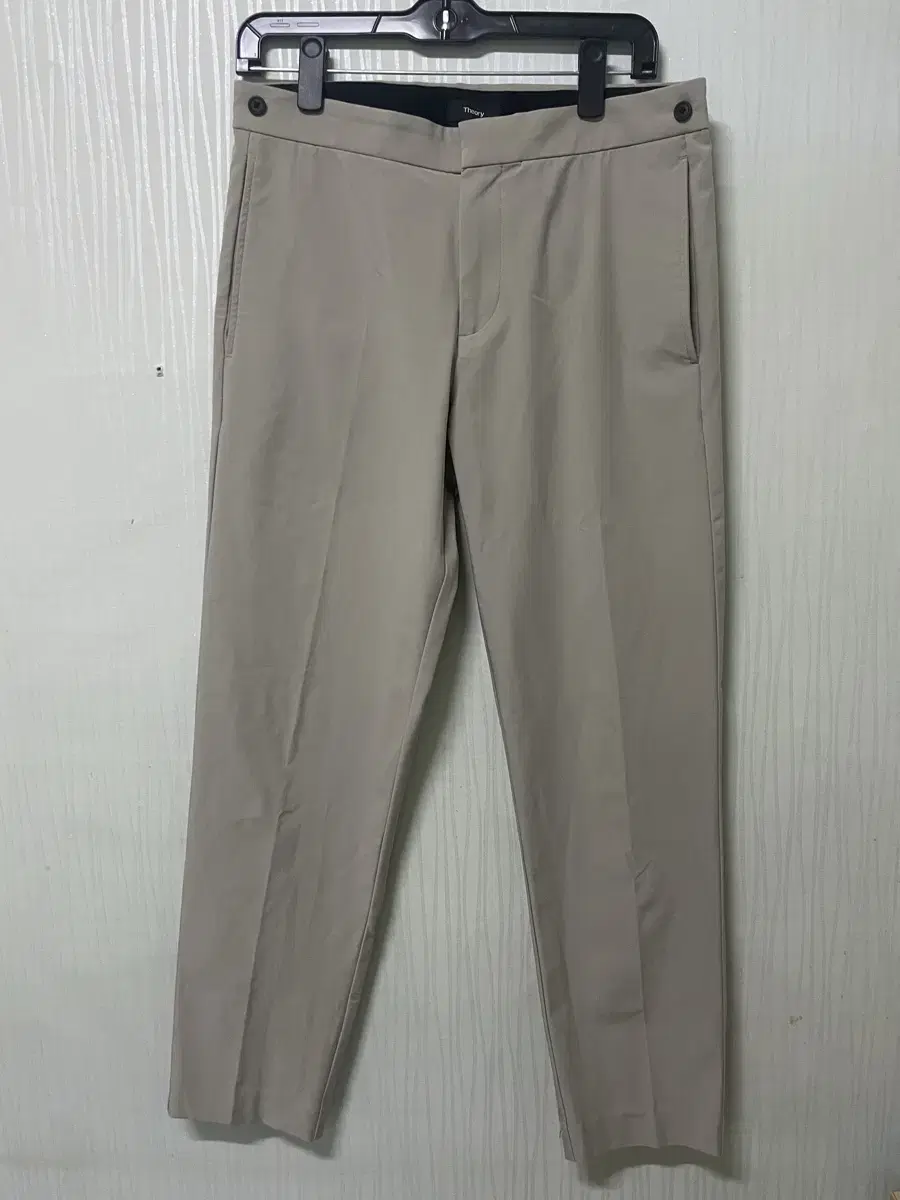 Theory Borrow Shadow Pants(30)