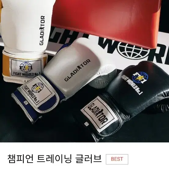 FW1 파이트월드 챔피언 글러브 판매합니다