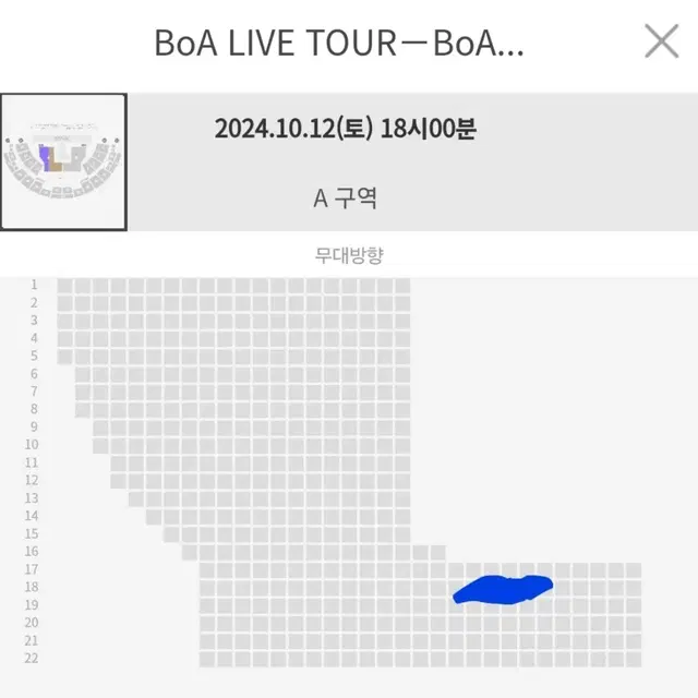 보아 콘서트 VIP석 돌출 명당 양도