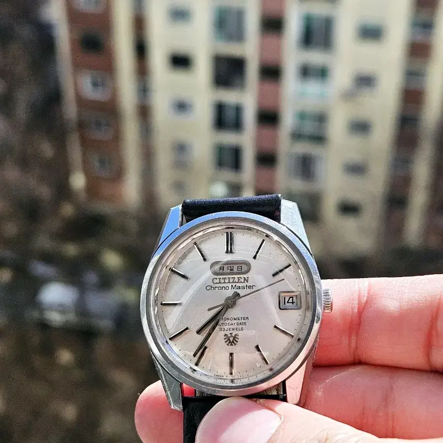 Citizen Chrono master vintage 시티즌 크로노마스터