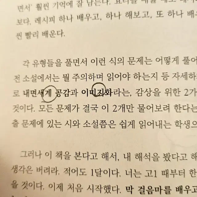 너를 국어 1등급으로 만들어주마(국일만) 문학 팝니다