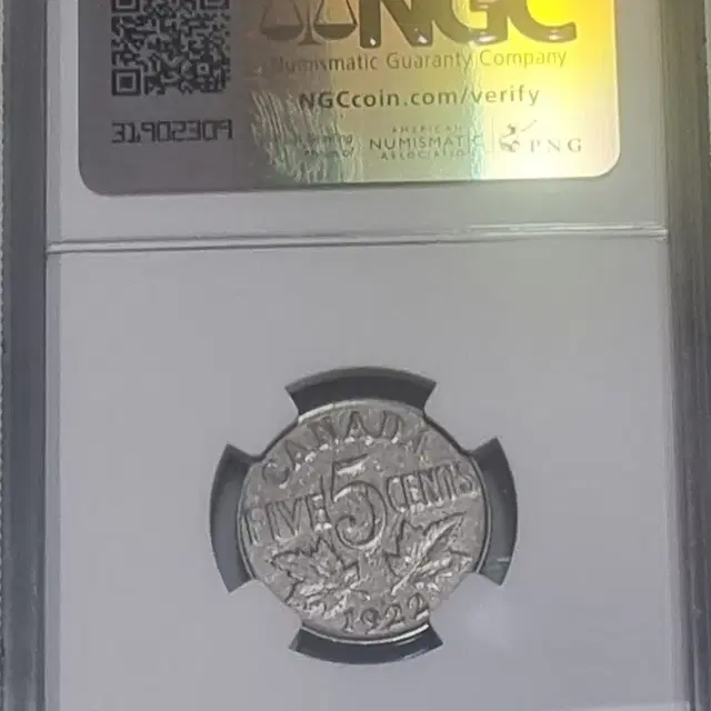 캐나다 1922년 5센트 NGC VF 디테일