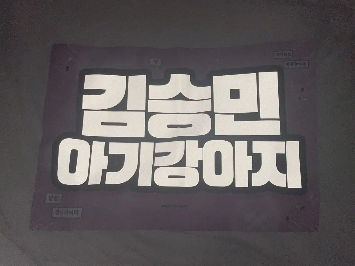 straykids seungmin kim seungmin slogan wts sell stray kids 아기강아지