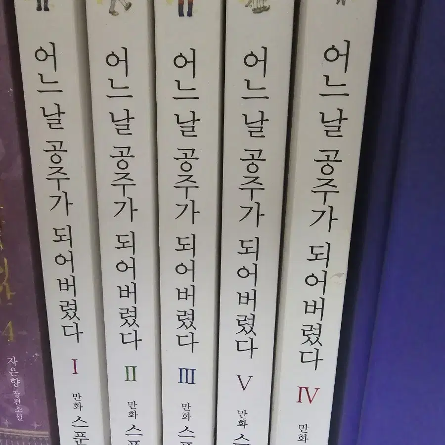 어공주 어느날 공주가 되어버렸다 책 1 2 3 4 5 권