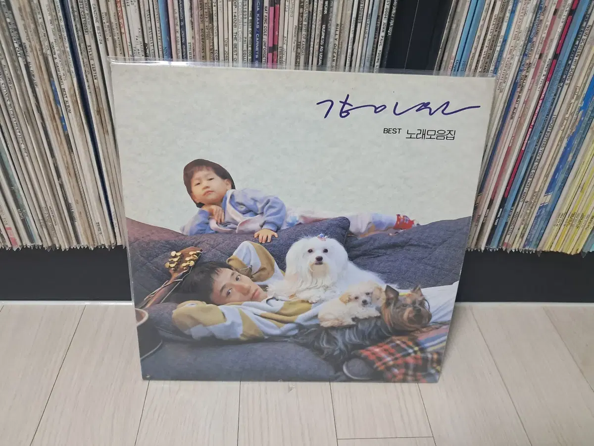 LP..강인원(1991년)