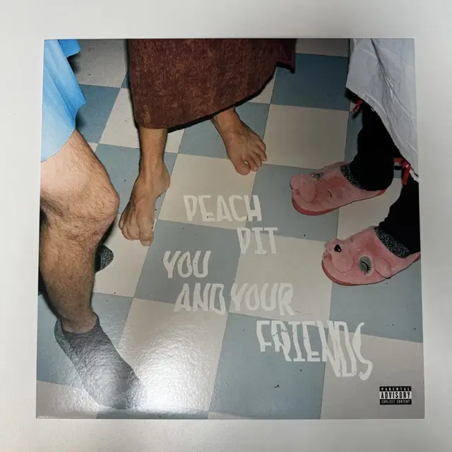 피치핏 Peach pit You and Your Friends LP