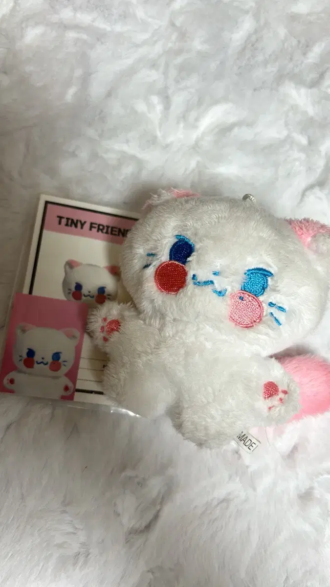 Zerobaseone sung hanbin 10cm Doll Nyan Bunny