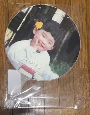 이정석 부채