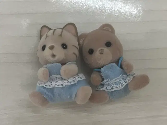 실바니안 고양이 곰 일괄