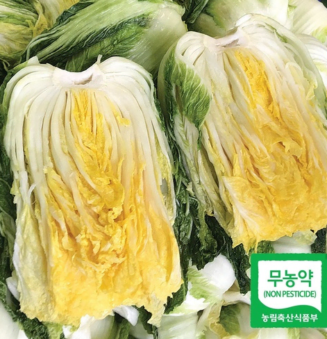 국산절임배추 (해남) 20kg(7-10포기) 예약 가능/24시간절임