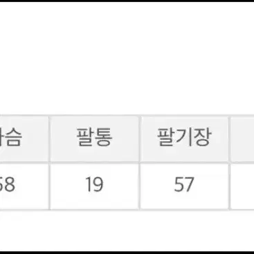 [새상품]리코이 여성 셔츠원피스 판매합니다(프리)